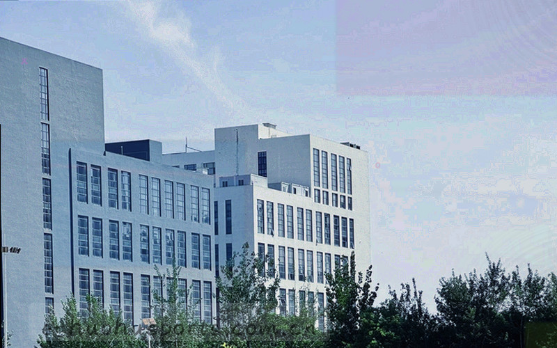战术板线条与数据标记示意，用于赛季观察长文配图